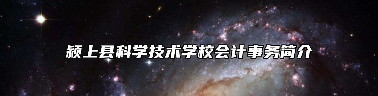 颍上县科学技术学校会计事务简介