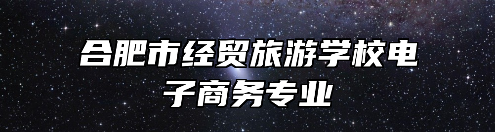 合肥市经贸旅游学校电子商务专业