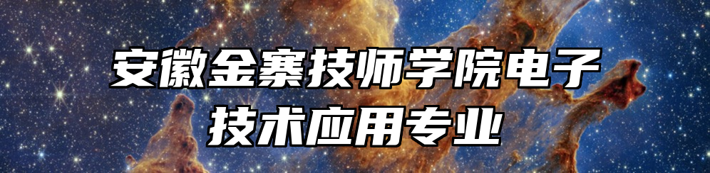 安徽金寨技师学院电子技术应用专业