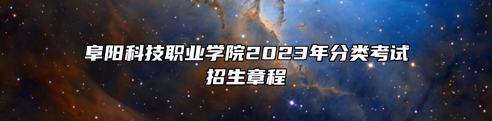 阜阳科技职业学院2023年分类考试招生章程