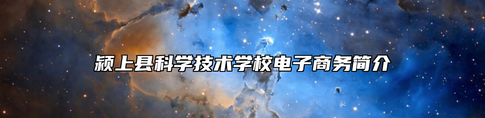 颍上县科学技术学校电子商务简介