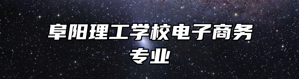 阜阳理工学校电子商务专业