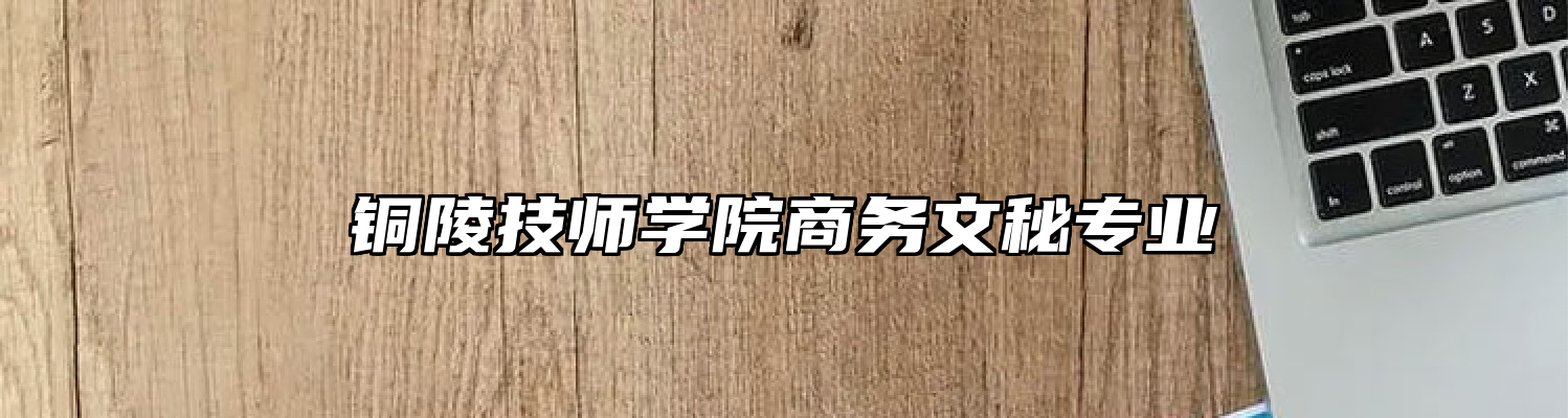 铜陵技师学院商务文秘专业