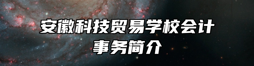 安徽科技贸易学校会计事务简介