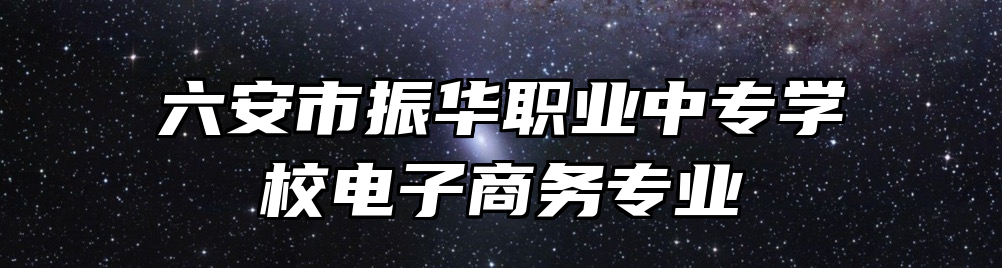 六安市振华职业中专学校电子商务专业