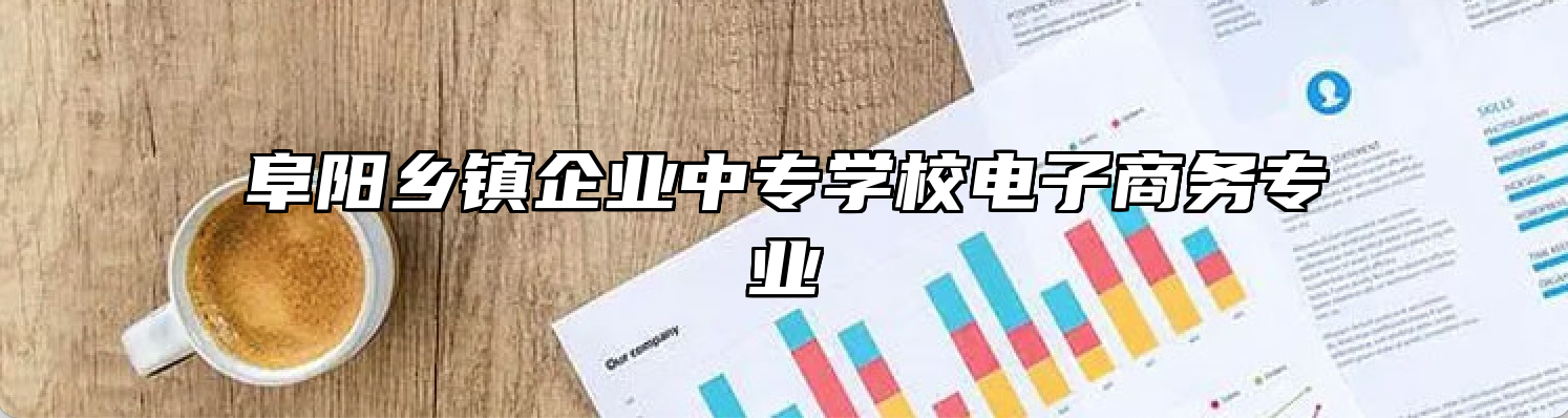 阜阳乡镇企业中专学校电子商务专业