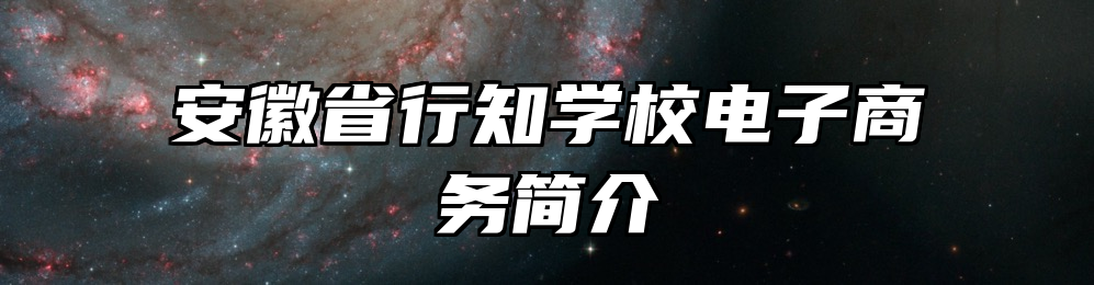 安徽省行知学校电子商务简介