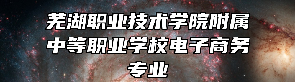 芜湖职业技术学院附属中等职业学校电子商务专业