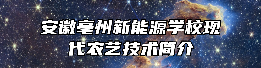 安徽亳州新能源学校现代农艺技术简介
