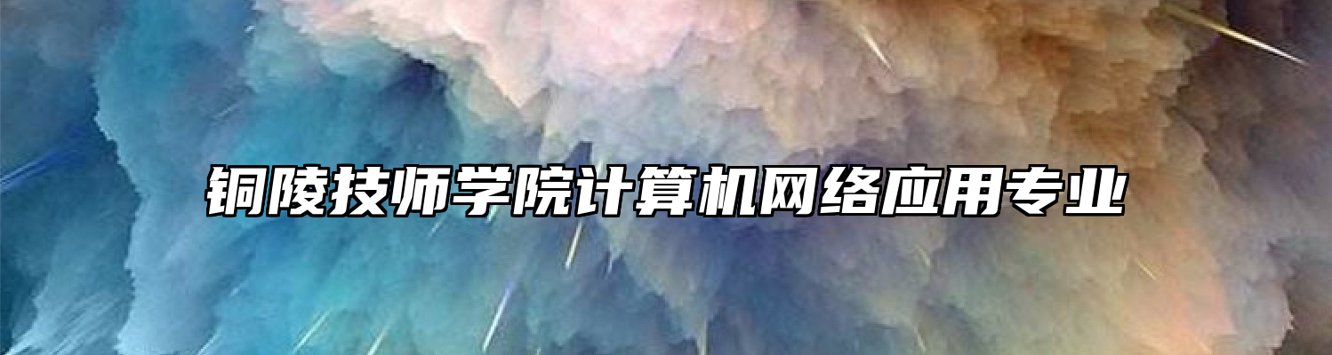 铜陵技师学院计算机网络应用专业