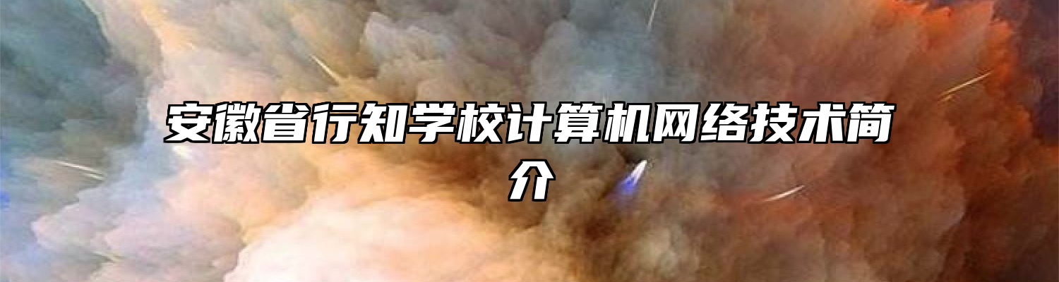 安徽省行知学校计算机网络技术简介