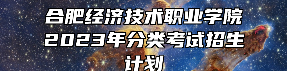 合肥经济技术职业学院2023年分类考试招生计划