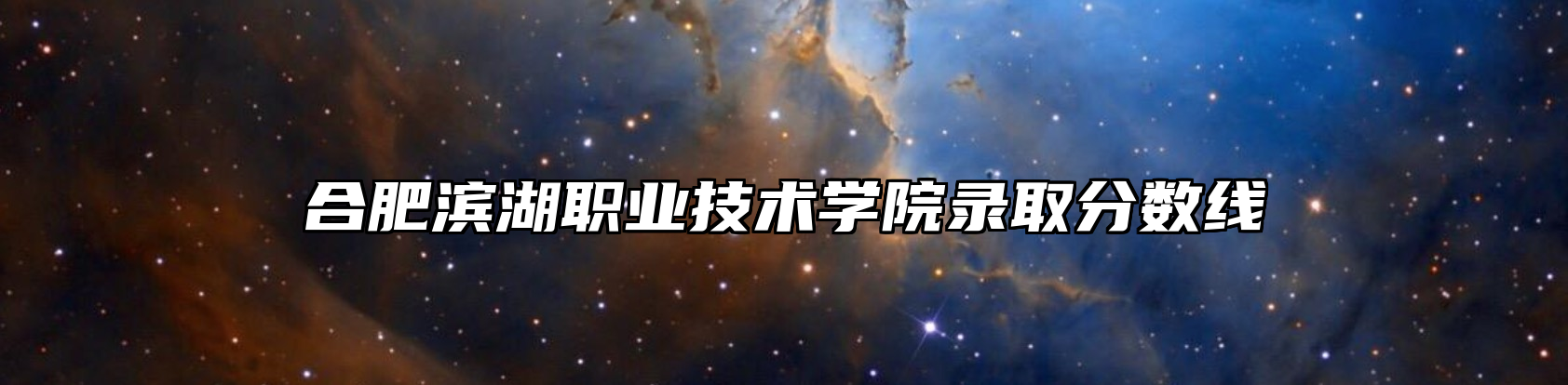 合肥滨湖职业技术学院录取分数线