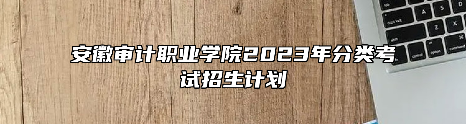 安徽审计职业学院2023年分类考试招生计划