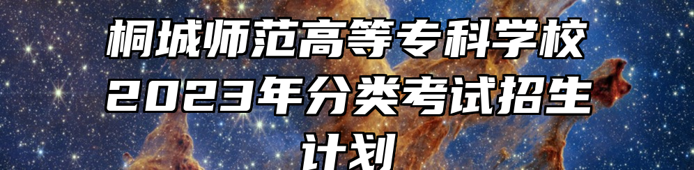 桐城师范高等专科学校2023年分类考试招生计划