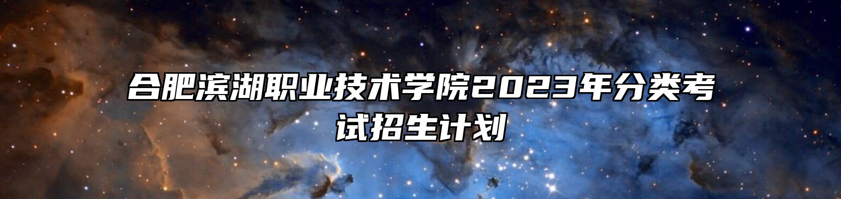 合肥滨湖职业技术学院2023年分类考试招生计划