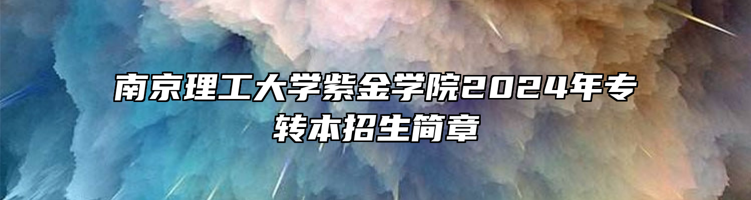 南京理工大学紫金学院2024年专转本招生简章