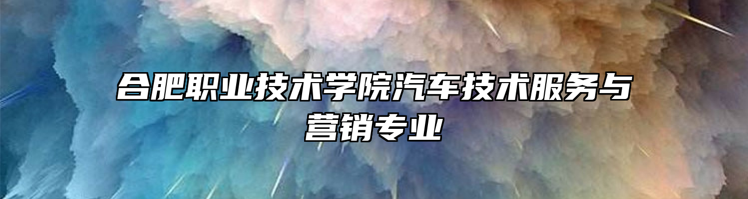 合肥职业技术学院汽车技术服务与营销专业