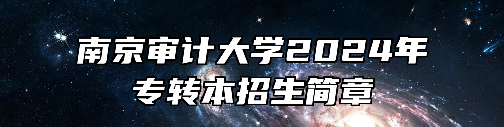 南京审计大学2024年专转本招生简章