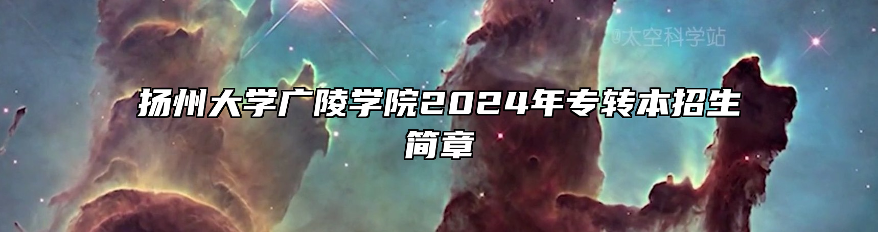 扬州大学广陵学院2024年专转本招生简章