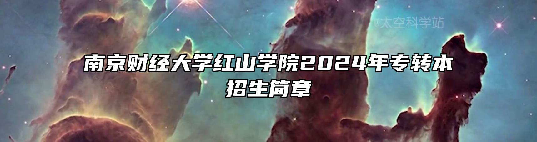 南京财经大学红山学院2024年专转本招生简章