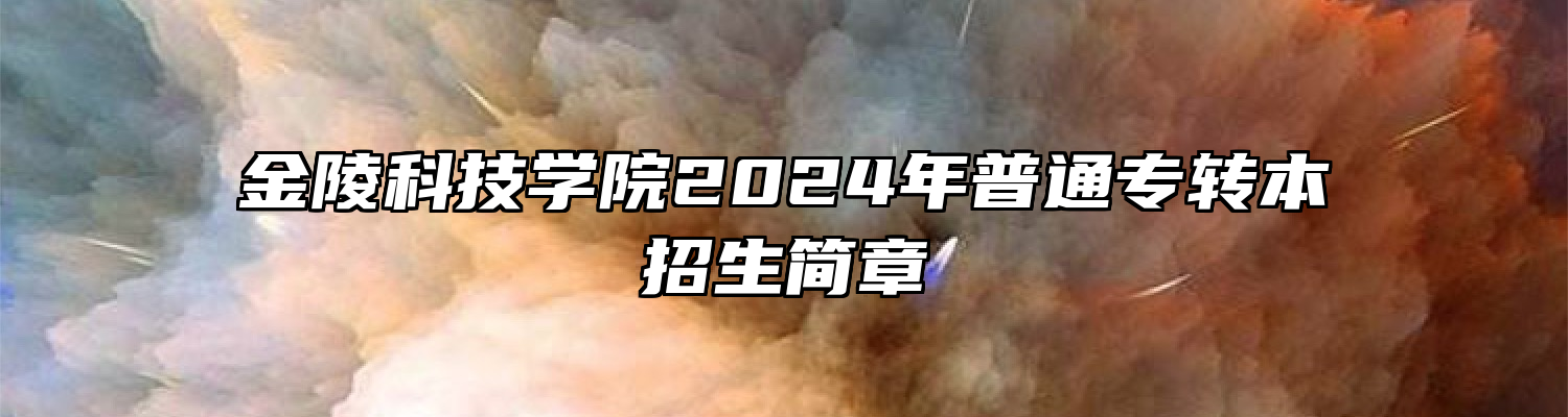 金陵科技学院2024年普通专转本招生简章