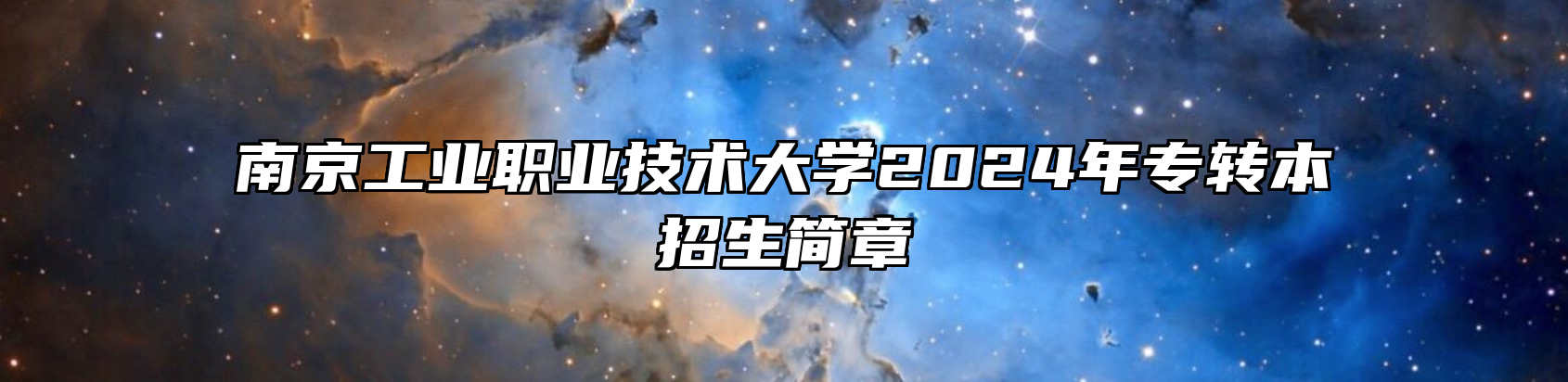 南京工业职业技术大学2024年专转本招生简章