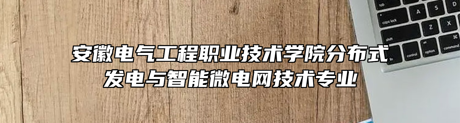 安徽电气工程职业技术学院分布式发电与智能微电网技术专业