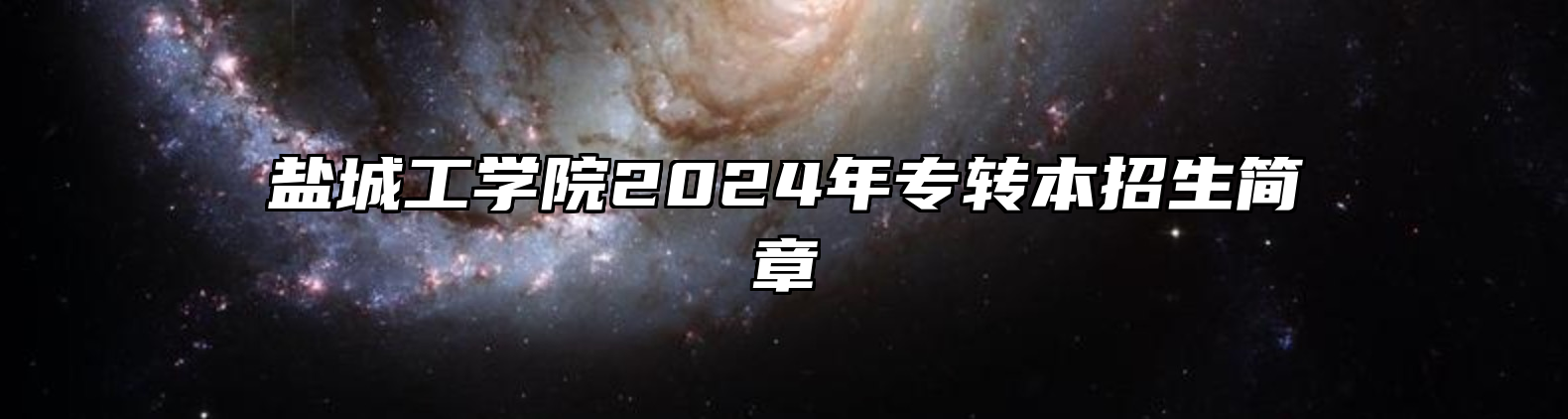 盐城工学院2024年专转本招生简章