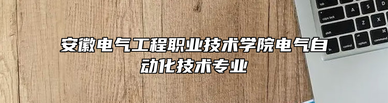 安徽电气工程职业技术学院电气自动化技术专业