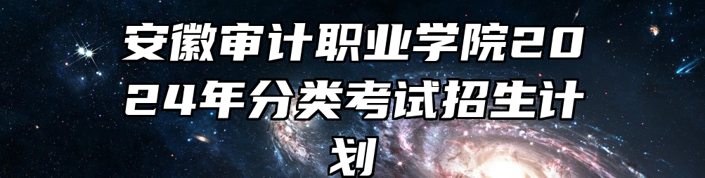 安徽审计职业学院2024年分类考试招生计划