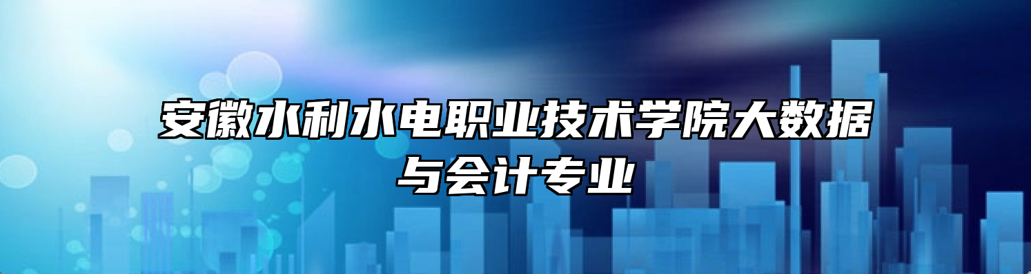 安徽水利水电职业技术学院大数据与会计专业