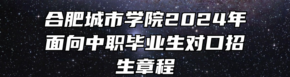 合肥城市学院2024年面向中职毕业生对口招生章程