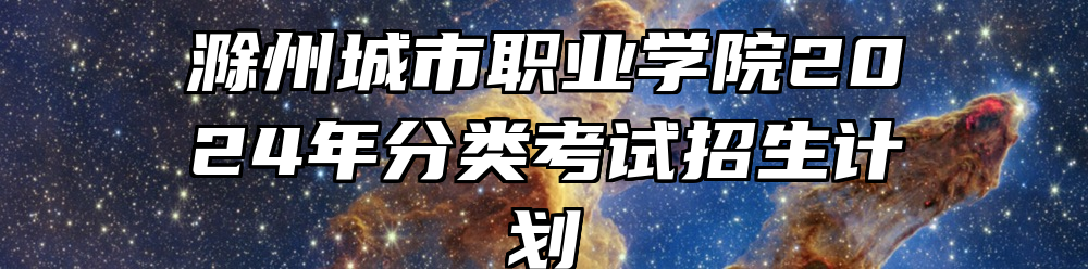 滁州城市职业学院2024年分类考试招生计划