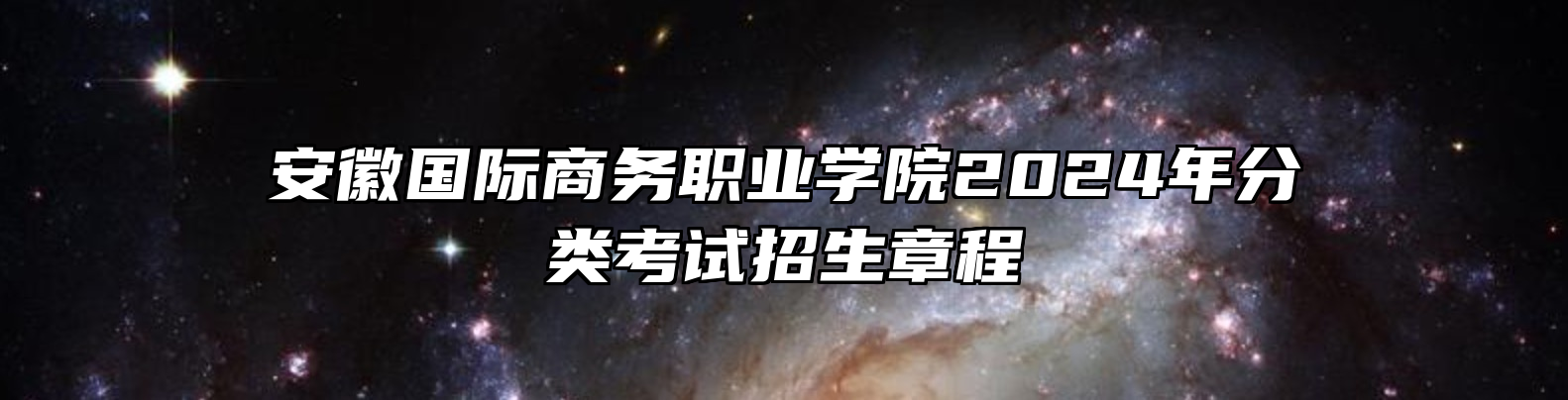 安徽国际商务职业学院2024年分类考试招生章程