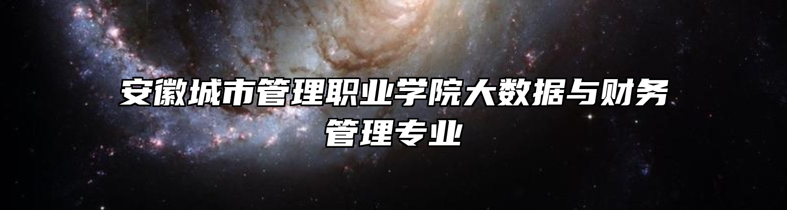 安徽城市管理职业学院大数据与财务管理专业