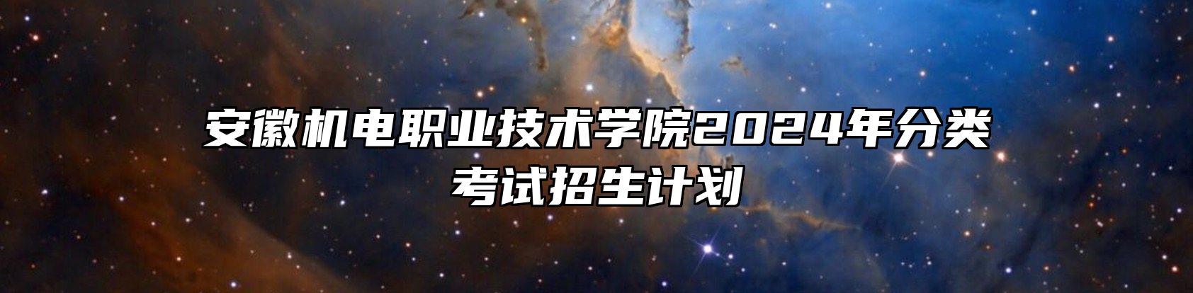 安徽机电职业技术学院2024年分类考试招生计划