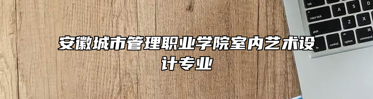 安徽城市管理职业学院室内艺术设计专业