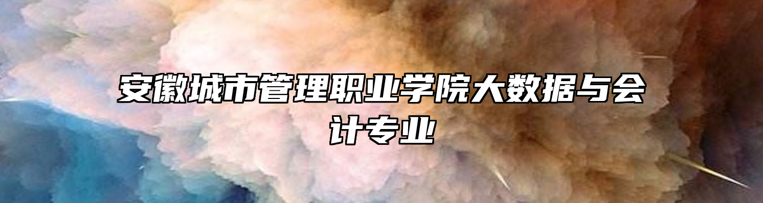 安徽城市管理职业学院大数据与会计专业