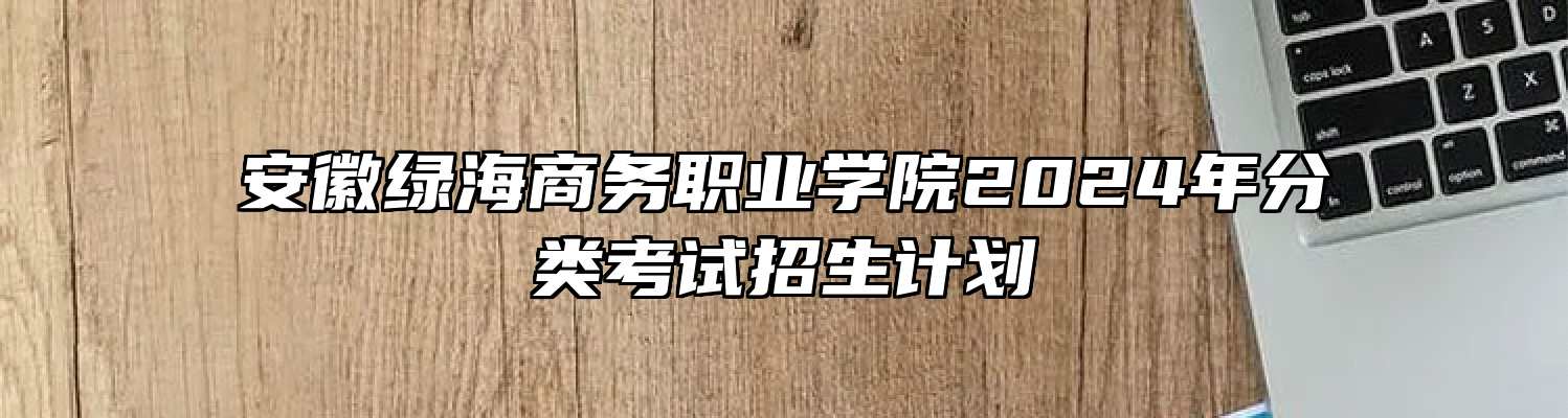 安徽绿海商务职业学院2024年分类考试招生计划