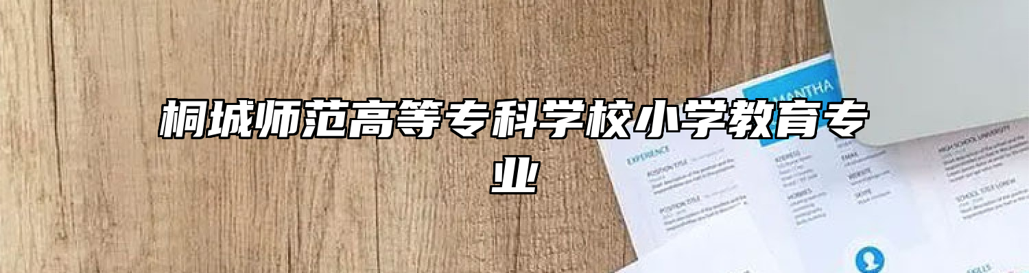 桐城师范高等专科学校小学教育专业