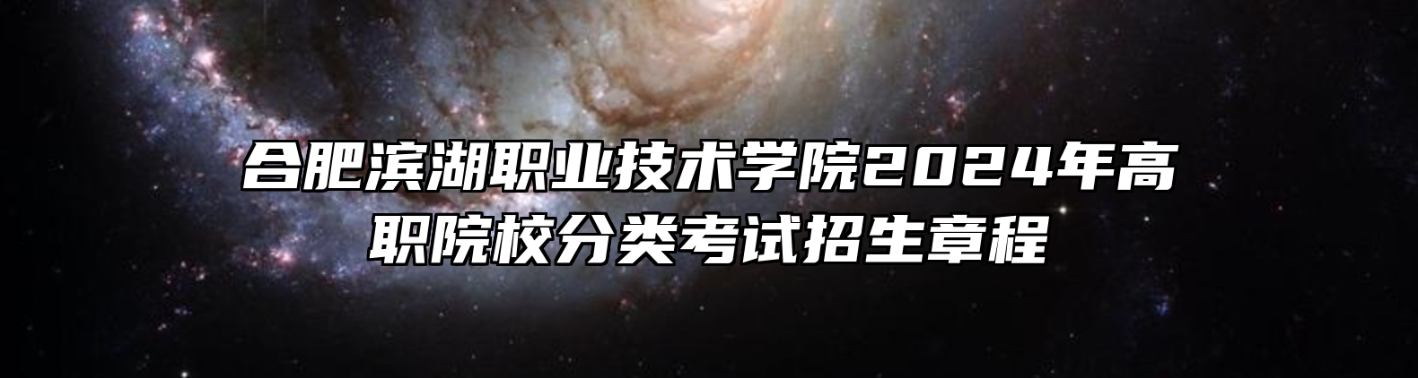 合肥滨湖职业技术学院2024年高职院校分类考试招生章程