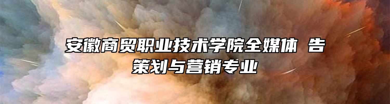 安徽商贸职业技术学院全媒体⼴告策划与营销专业