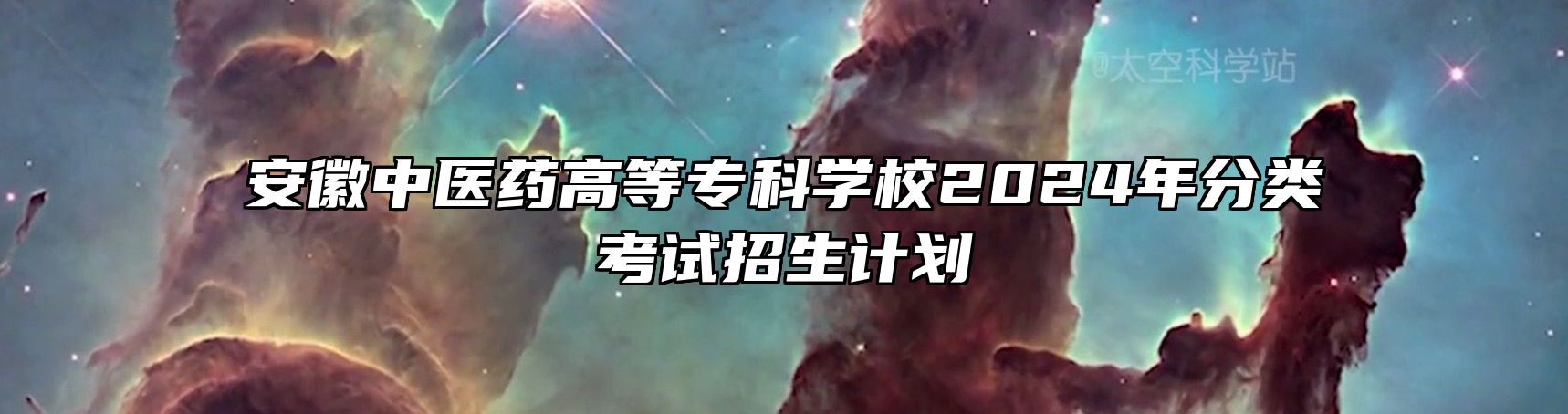 安徽中医药高等专科学校2024年分类考试招生计划