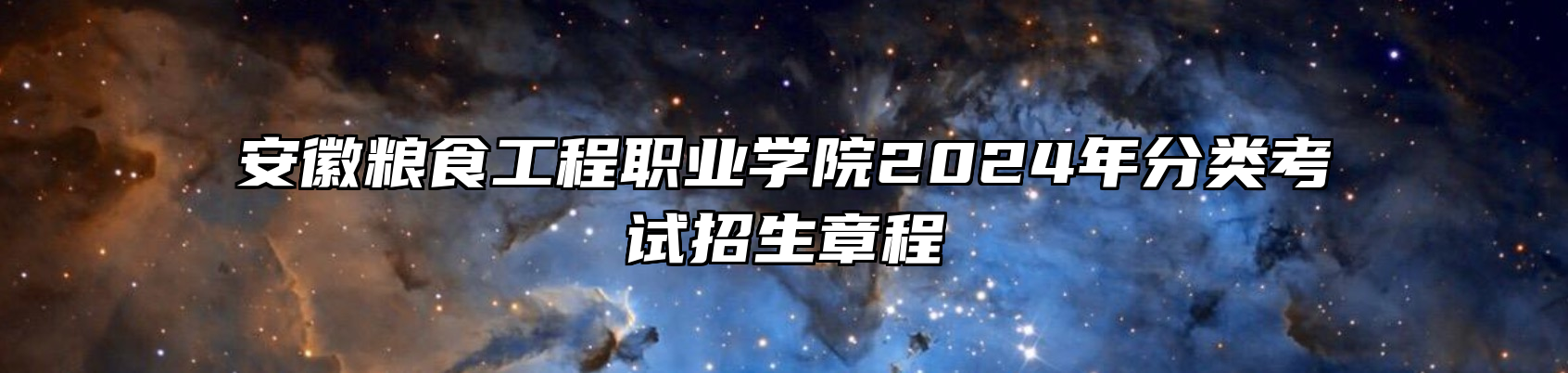 安徽粮食工程职业学院2024年分类考试招生章程