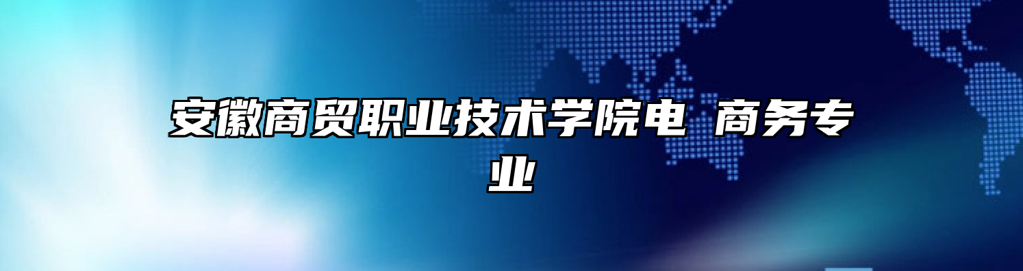 安徽商贸职业技术学院电⼦商务专业