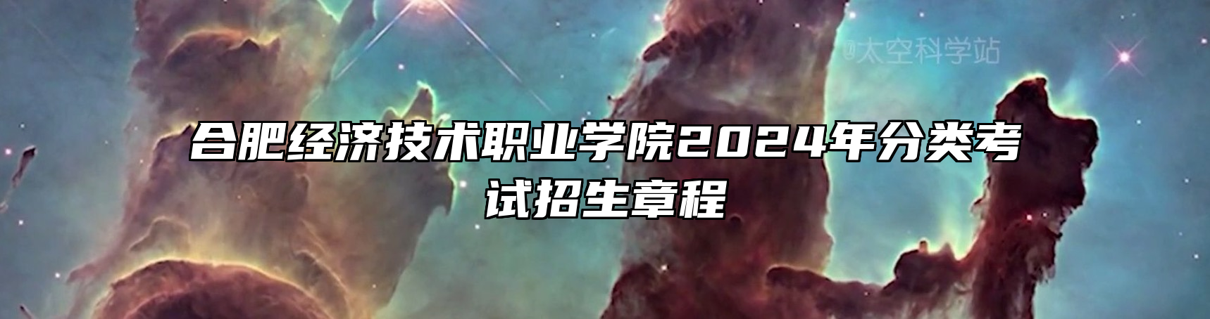 合肥经济技术职业学院2024年分类考试招生章程