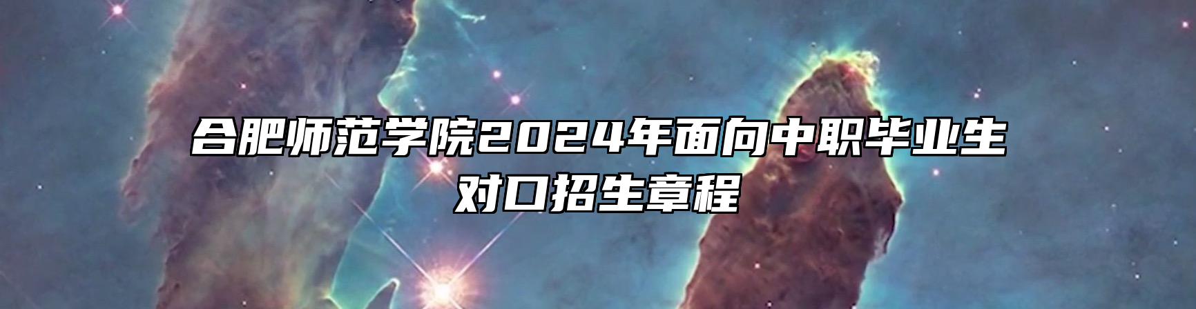 合肥师范学院2024年面向中职毕业生对口招生章程