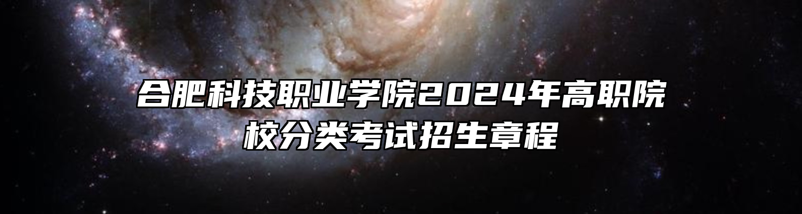 合肥科技职业学院2024年高职院校分类考试招生章程