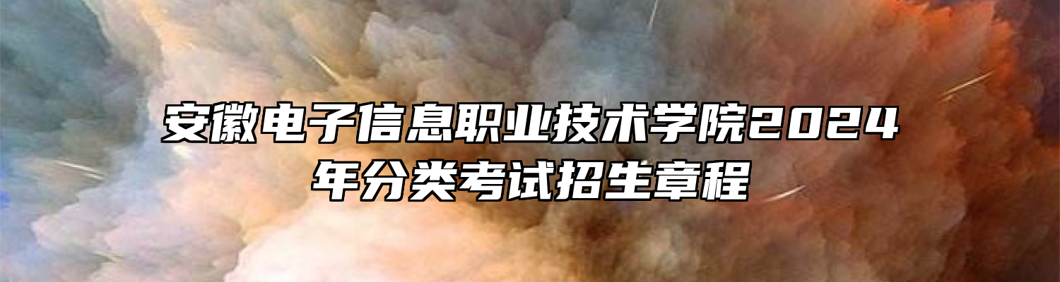 安徽电子信息职业技术学院2024年分类考试招生章程